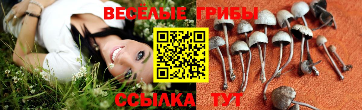 Ржев  Галлюциногенные грибы мицелий  Галлюциногенные грибы Cubensis  Вход с VPN 